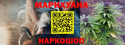 сатива Анапа