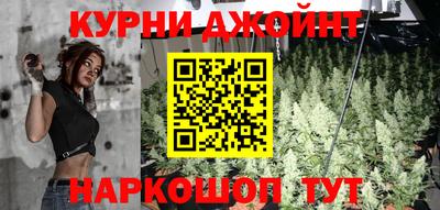 гидра Анжеро-Судженск