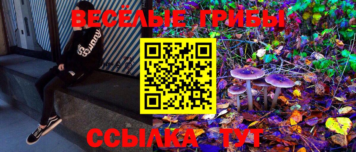 Галлюциногенные грибы GOLDEN TEACHER  Вход с VPN  Ачинск 